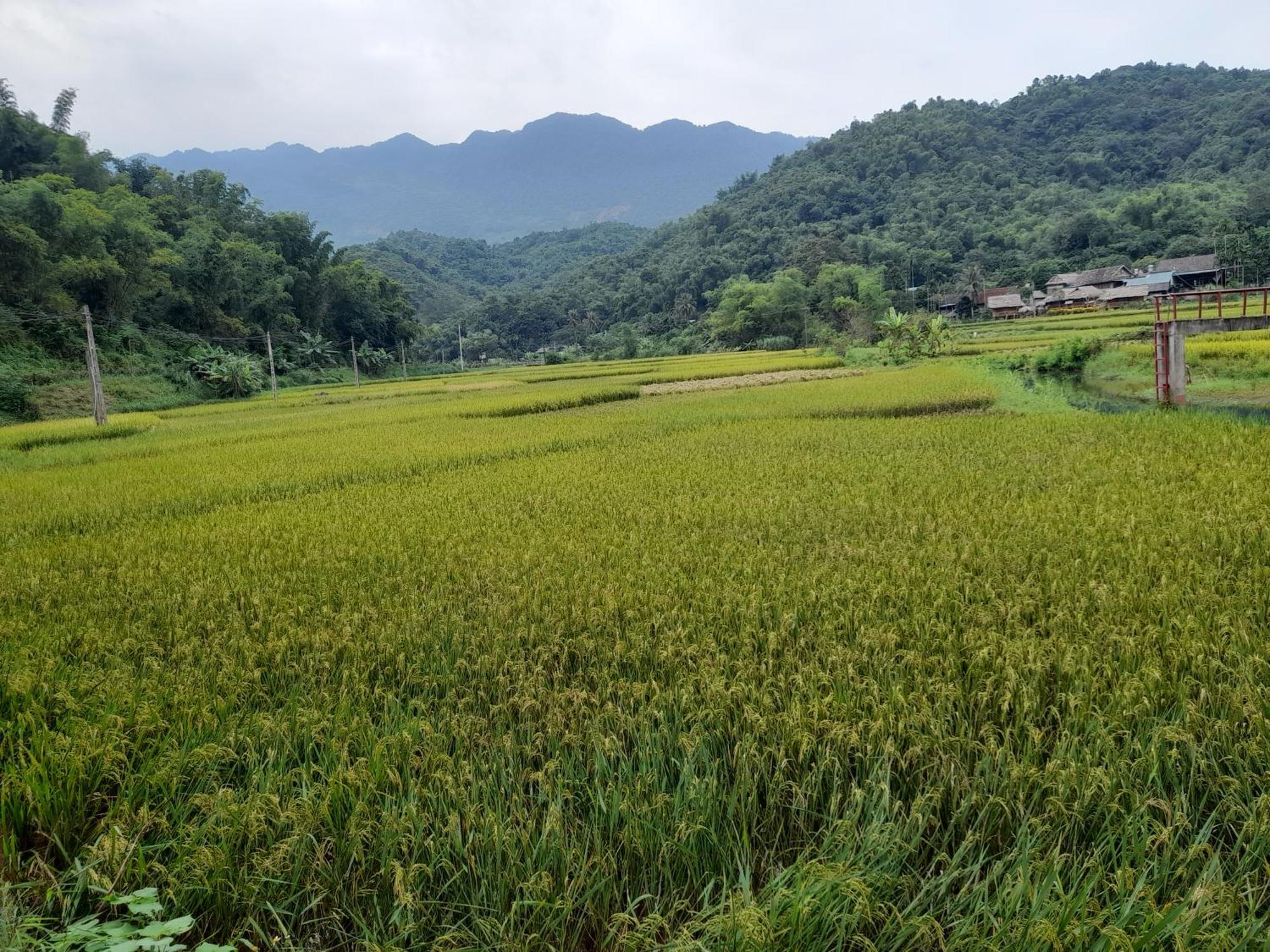 Thao Ly Homestay Mai Chau Hòa Bình Kültér fotó