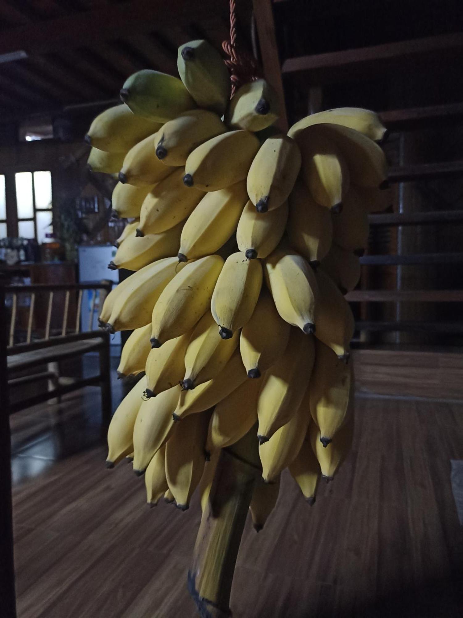 Thao Ly Homestay Mai Chau Hòa Bình Kültér fotó