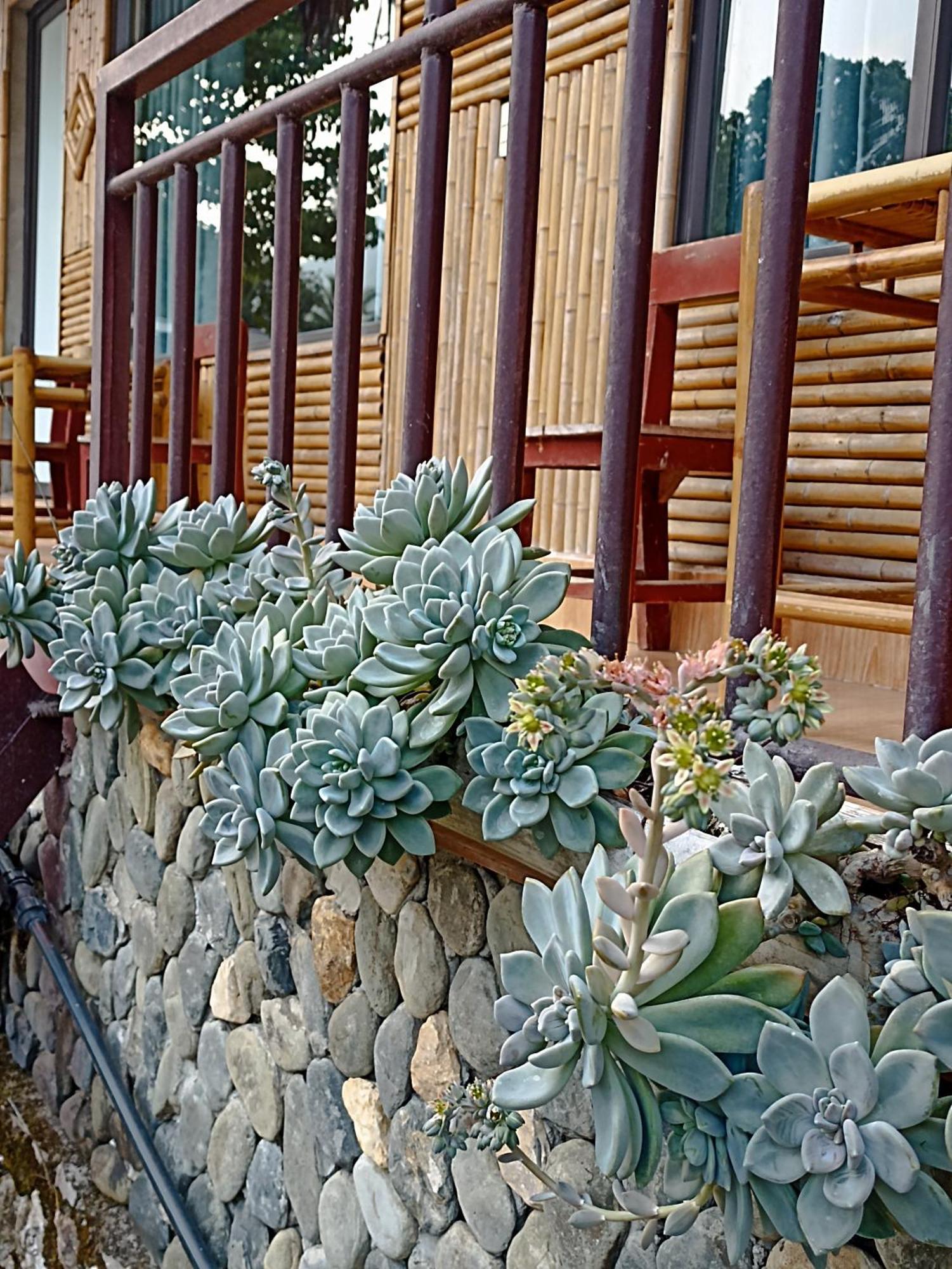 Thao Ly Homestay Mai Chau Hòa Bình Kültér fotó